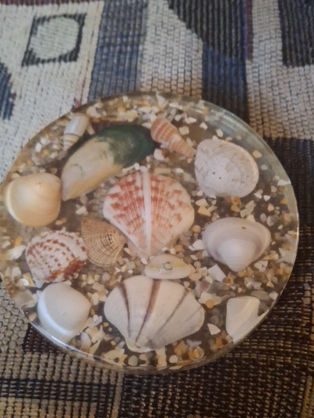 Handmade Seashell Resin Accent Disc Coaster Natural White, Tan & Cream